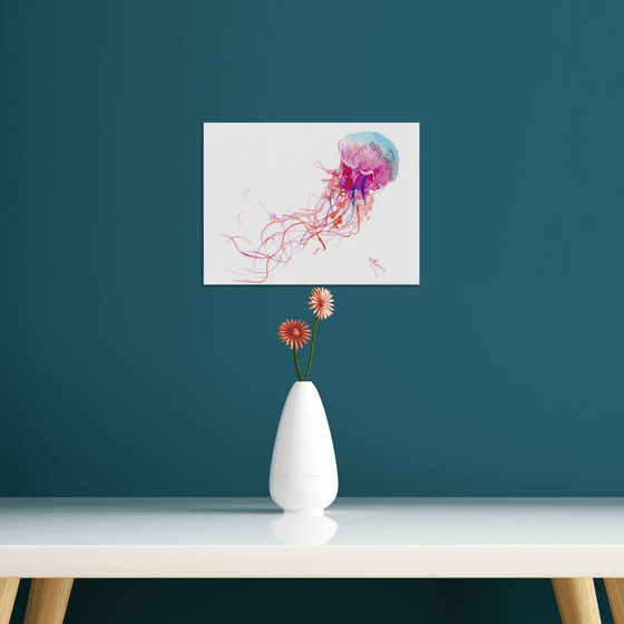 Jellyfish