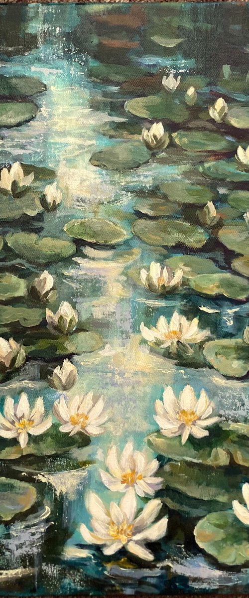 Lilly pond no6 by Colette Baumback