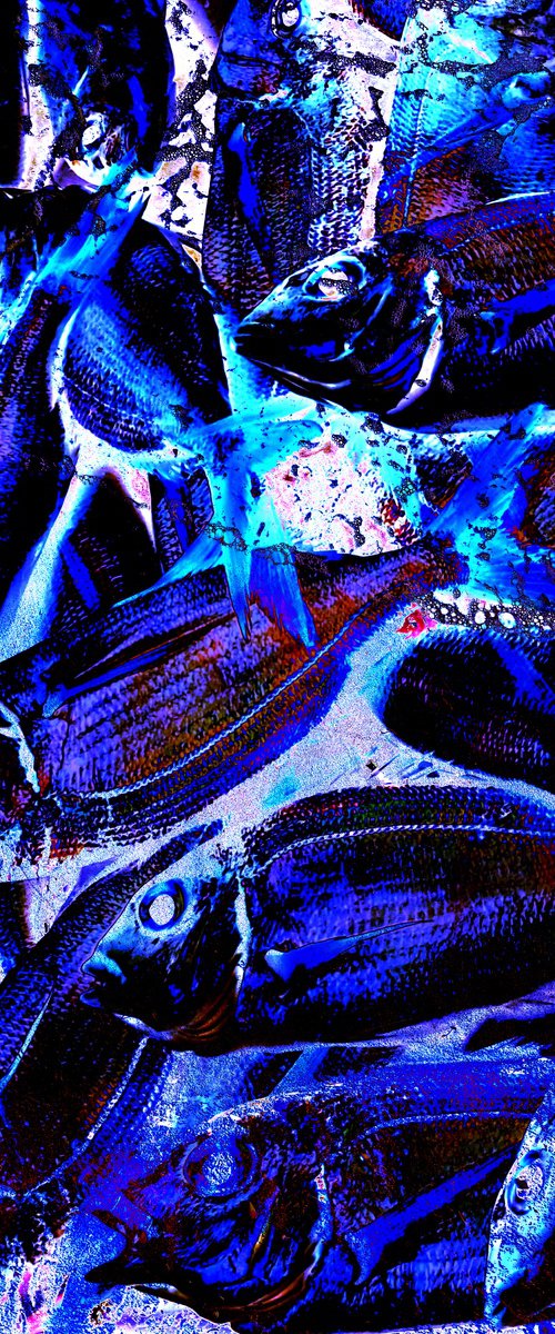 Digital collage Colorful Fish by Yuliia Sharapova