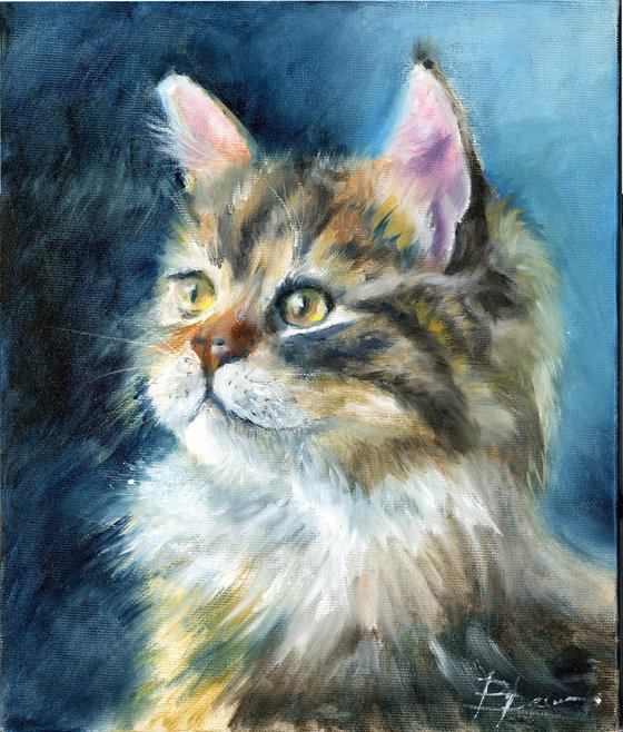 Majestic Longhair Cat