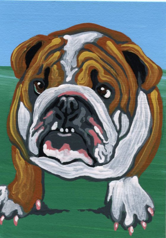 ACEO ATC Original Miniature Painting English Bulldog Pet Dog Art-Carla Smale