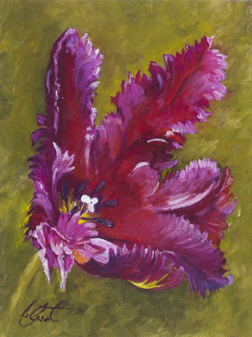 Parrot Tulip 2 by Christine Gaut