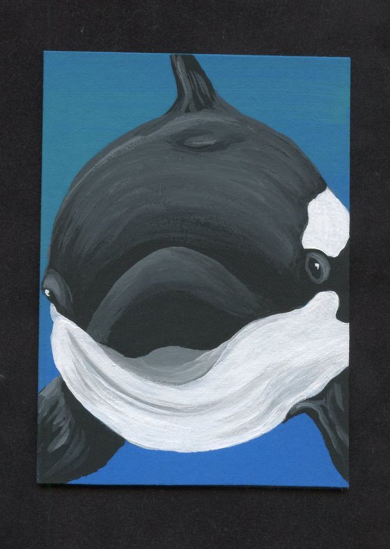 ACEO ATC Original Painting Orca Killer Whale Marine Wildlife Art-Carla Smale