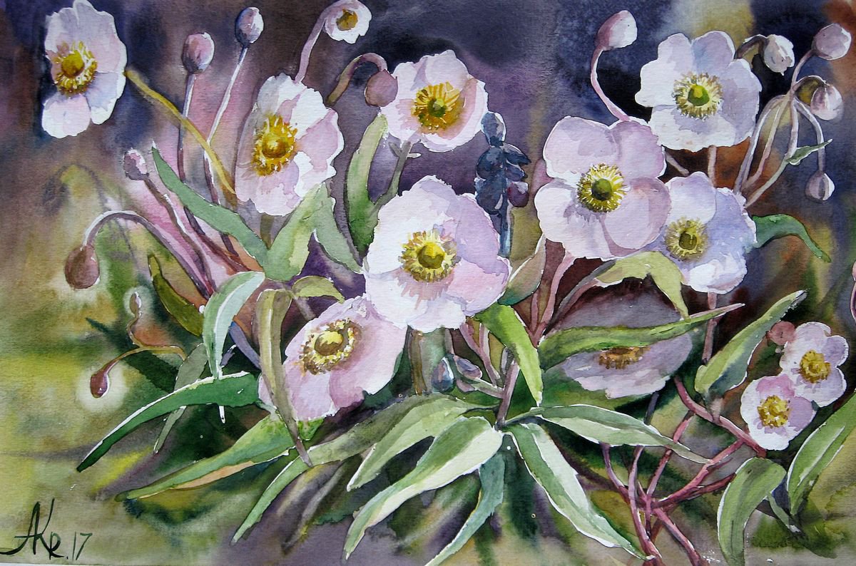 White anemone flowers by Ann Krasikova