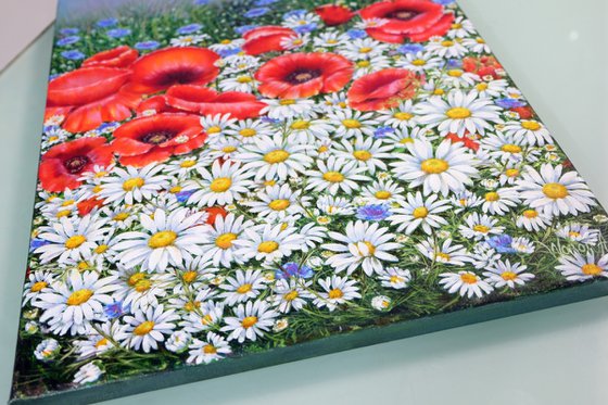 Poppies and Daisies