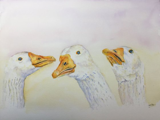 Three geese