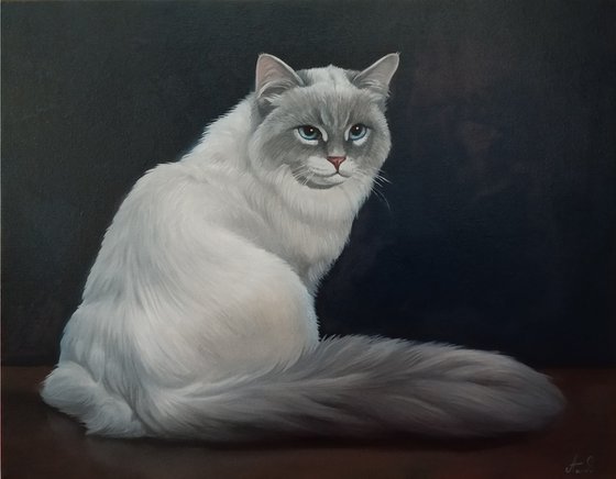 The cat (40x50cm, oil painting, ready to hang)