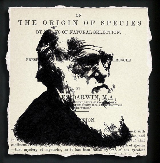 Darwin - On the Origin of Species (Framed)