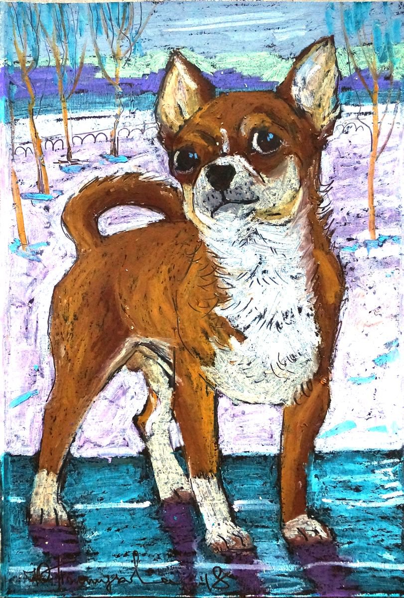Chihuahua by Yuliia Pastukhova