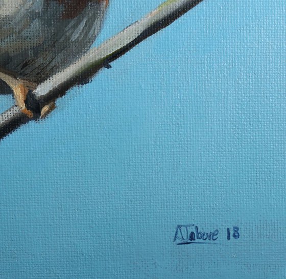 Robin on a Wire, Bird Artwork, Animal Art Framed