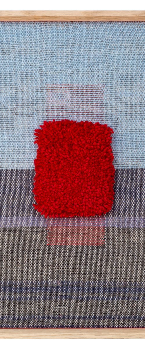 Flag III by Susanna Costantini