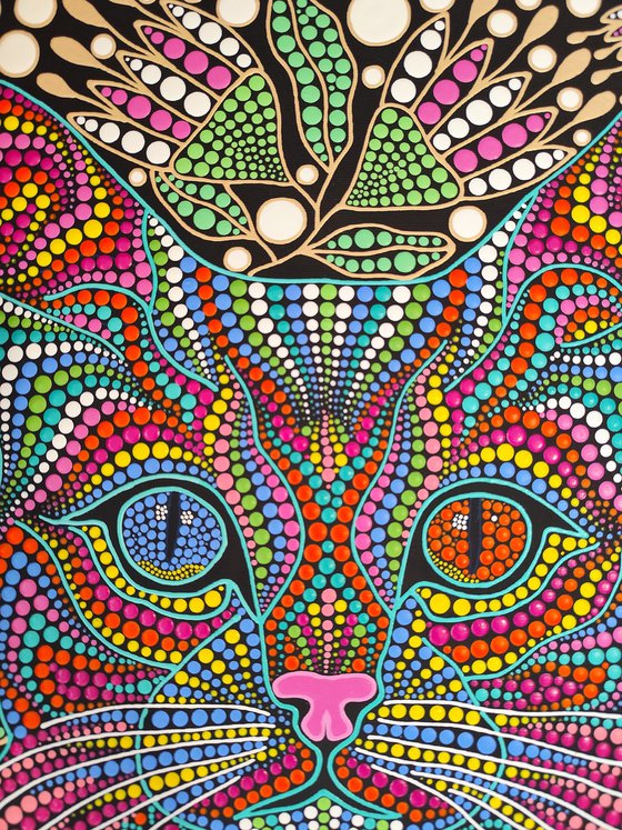 Cat 2