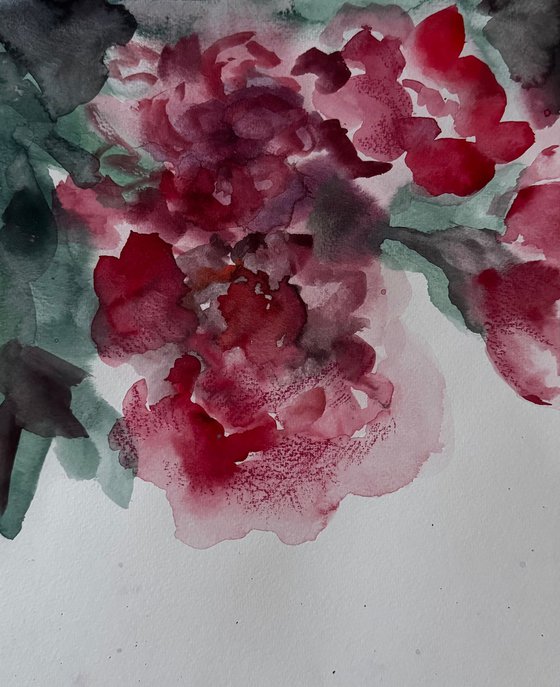 Peonies
