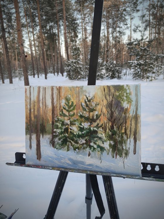 A frosty day in the park