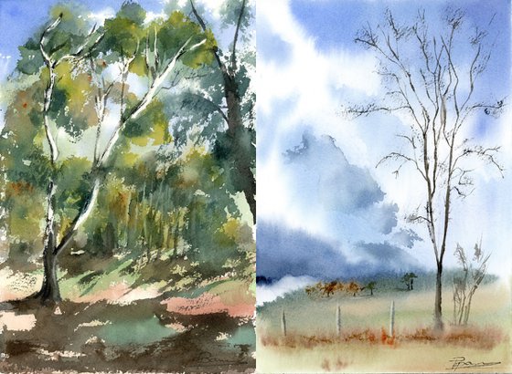 Forest Moments - Diptych