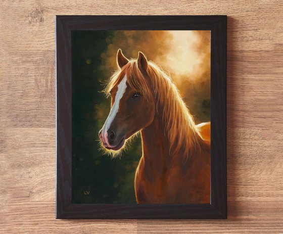 Brown horse portrait at sunset