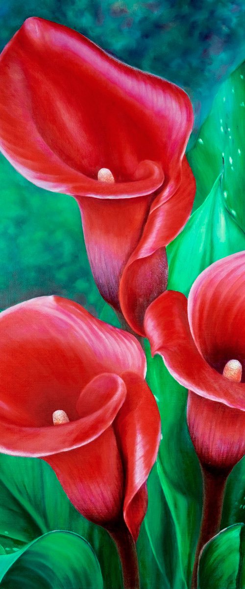 Red calla lilies. by Anastasia Woron