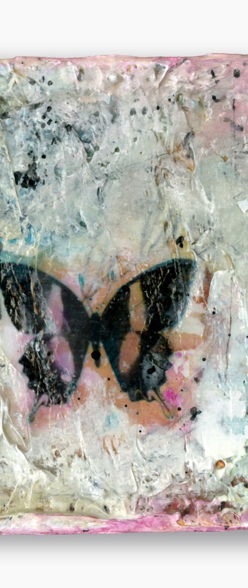 Butterfly Kisses 6 - Mixed media abstract art by Kathy Morton Stanion by Kathy Morton Stanion