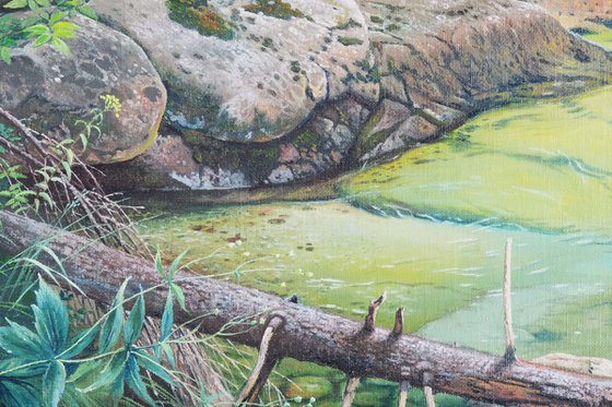 Rocks in a mountain stream