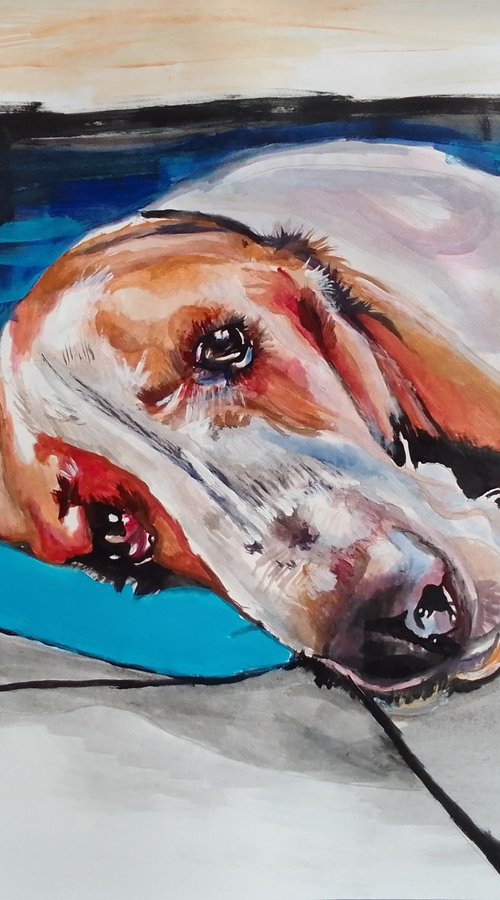 Bassethound by Soso Kumsiashvili