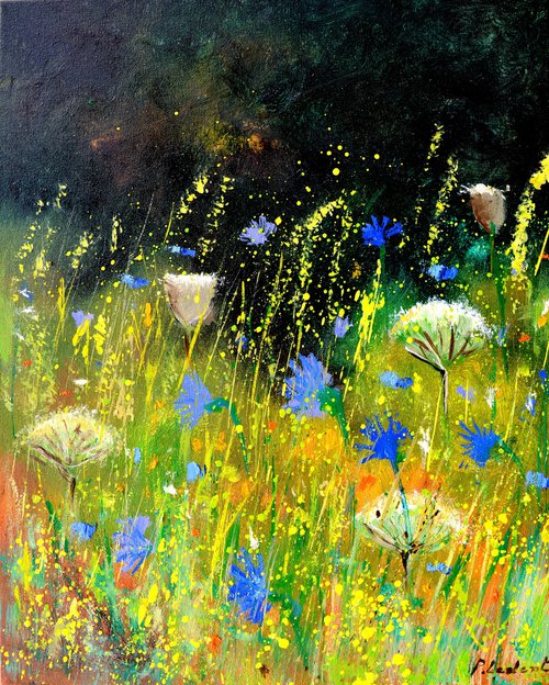 Summer wild flowers - 4523 by Pol Henry Ledent