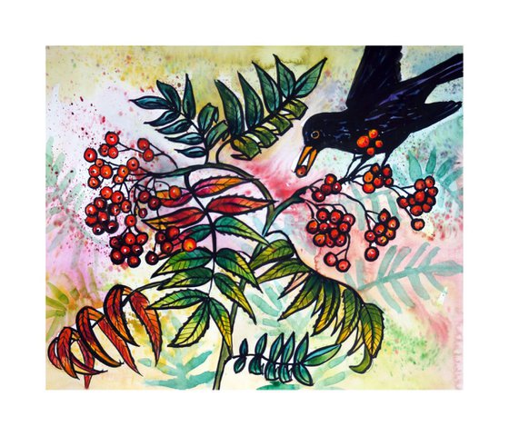 Rowan Berries and Blackbird
