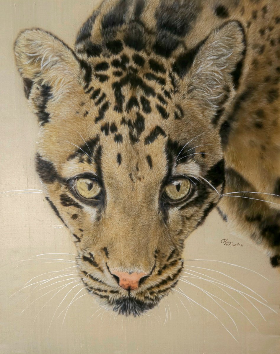 Photorealistic Animal Painting By Olga Belova, 20 X 26", Mystic Eyes, Original Artwork