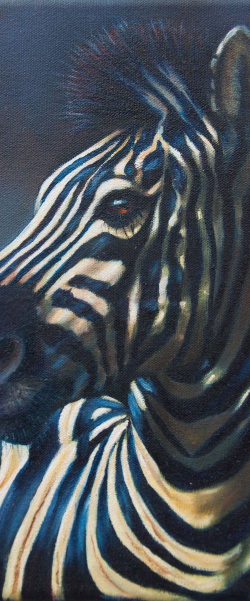 Zebra Portrait by Norma Beatriz Zaro