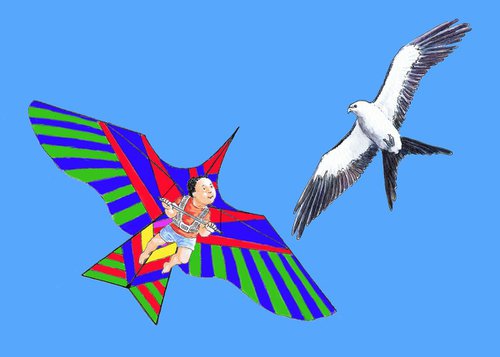 Kites, 1/30 by Julia Wakefield