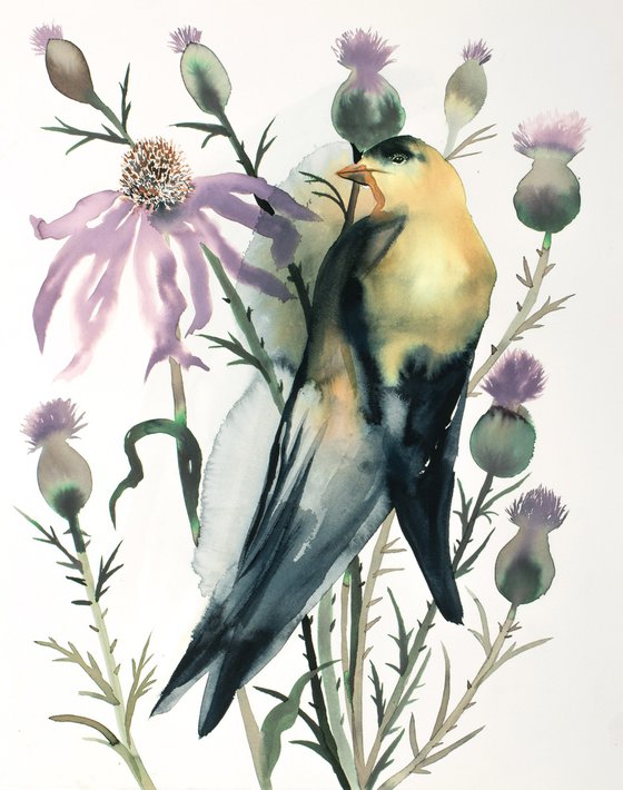 Goldfinch No. 3