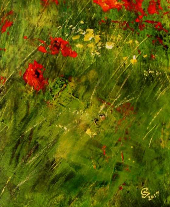 "The field of wild poppies"