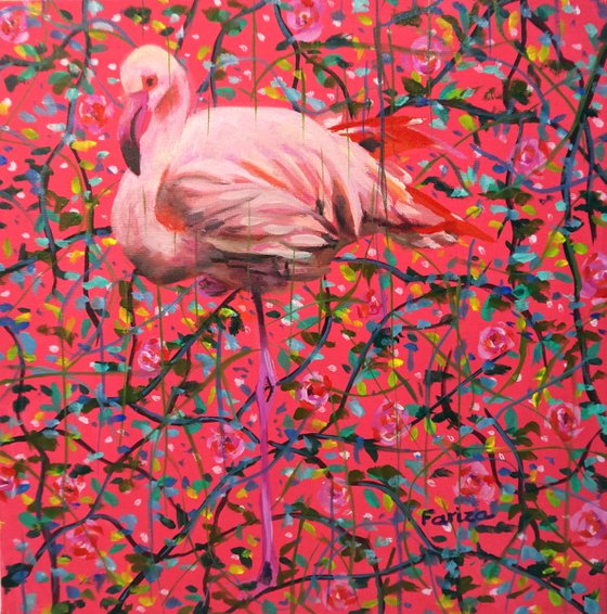 Flamingo in pink