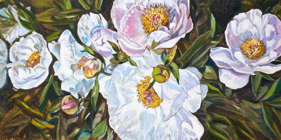 Peonies