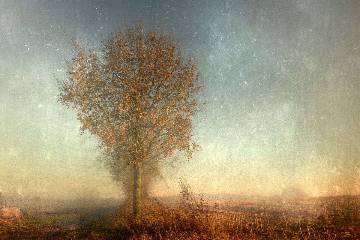 * Gentle Touch of Autumn - Canvas 75 x 50 cm by Sandra Roeken