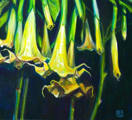 Angels Trumpets