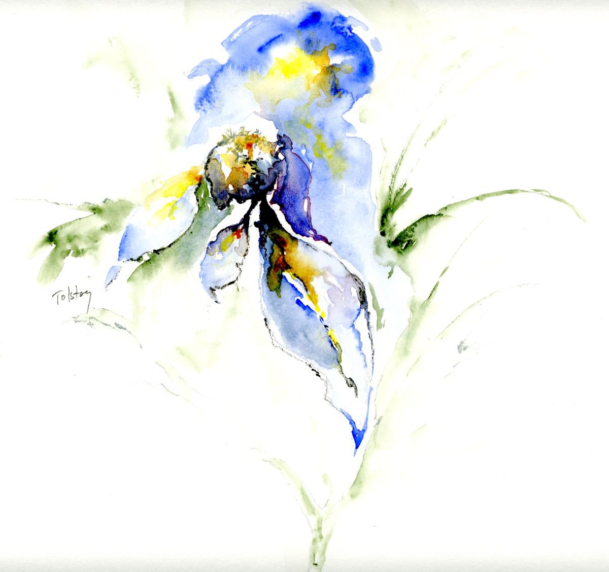 Impressionistic Botanical Watercolour By Alex Tolstoy, 12 X 11, Blue Flower, Original Artwork