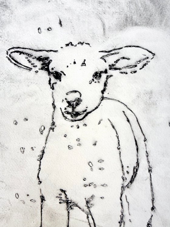 LuckyLamb