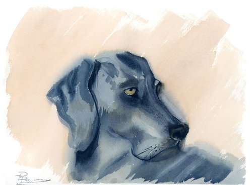 Dog's portrait by Olga Shefranov (Tchefranov)