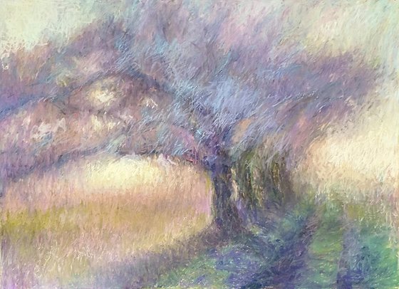 Light Through The Trees