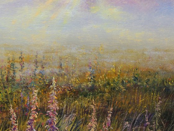 Light Through the Mist