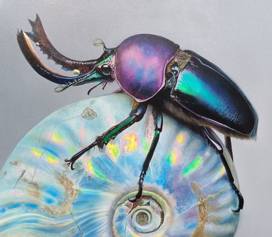 Stag beetle on a shell, realistic shiny beetle, hyperrealism, art realism, beautiful insects