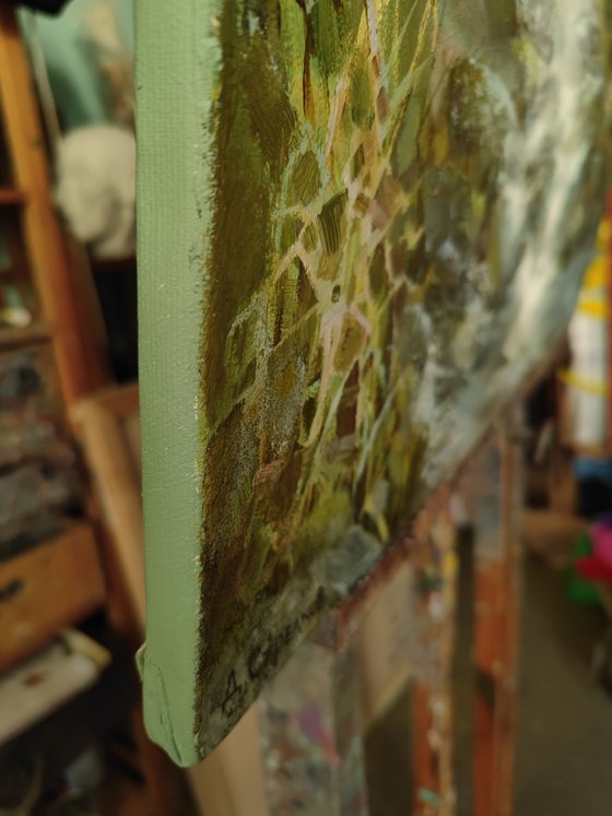 Water and Stones. Opus 4.