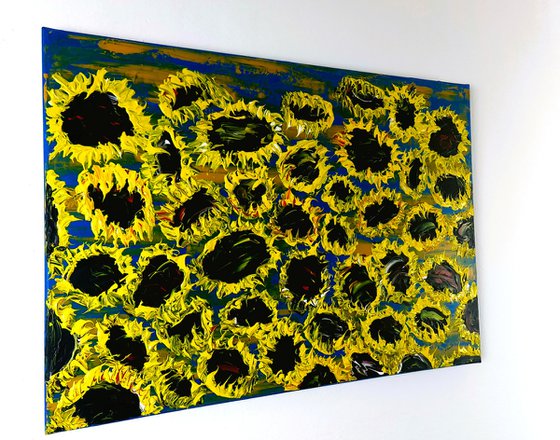 Blooming sunflowers 7