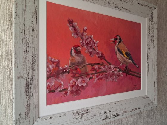 Conversations in the Blossom