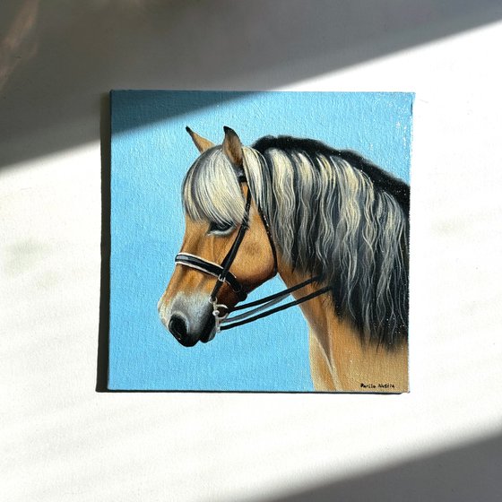 Horse Portrait 9