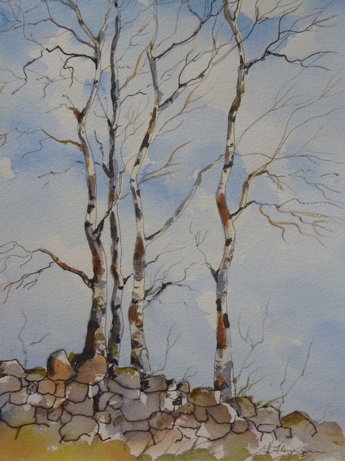 Silver Birches by Maire Flanagan
