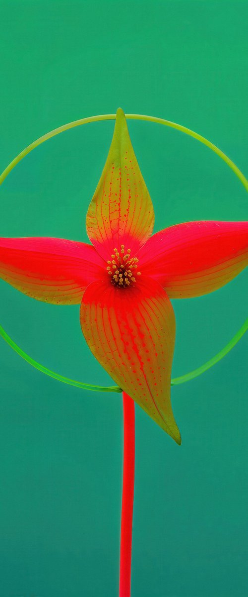 Floral Expressionism I by Richard Gibson