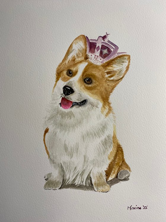 Queens corgi