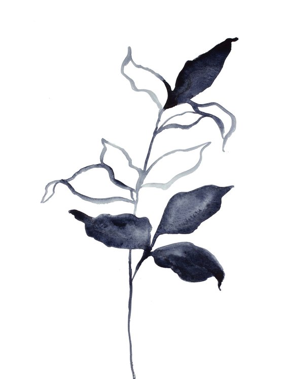 Plant Study No. 70