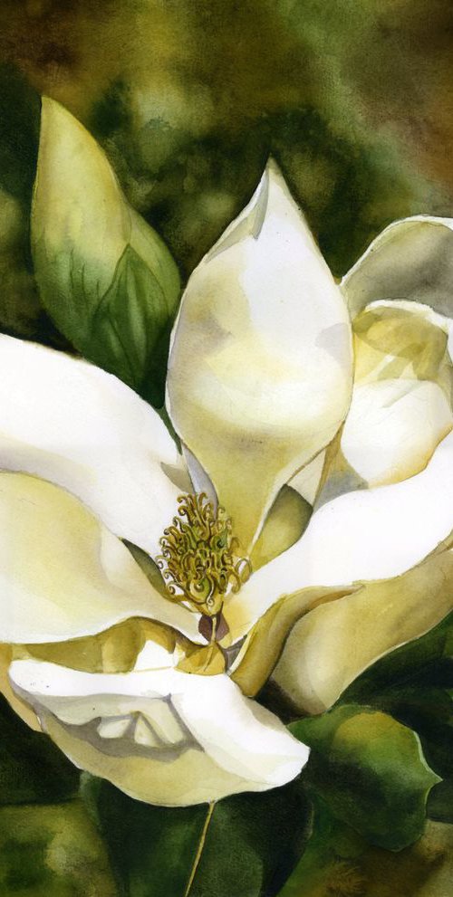 scent of the magnolia by Alfred  Ng